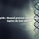 Réponse rapide : Quand pouvez-vous séparer les bébés lapins de leur mère ?